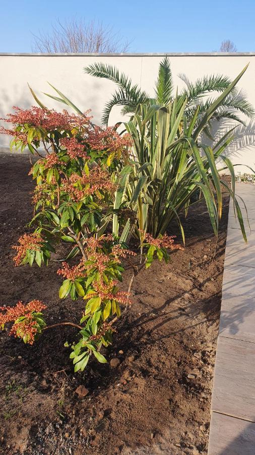 Villa MAISON TERRASSE JARDIN SANS VIS-à-VIS PARKING ANIMAUX ACCEPTES à Gujan-Mestras Extérieur photo